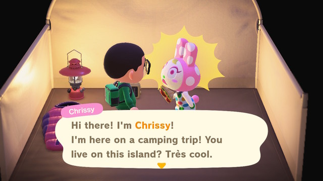 That's... an expression
Transcript:
Chrissy: Hi there! I'm Chrissy!
I'm here on a camping trip! You live on this island? Tres cool.