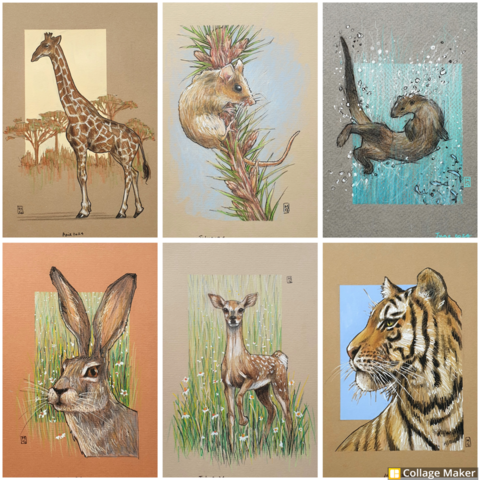 A photo collage of my animal drawings.  A giraffe, a mouse, an otter, a hare, a deer and a tiger.