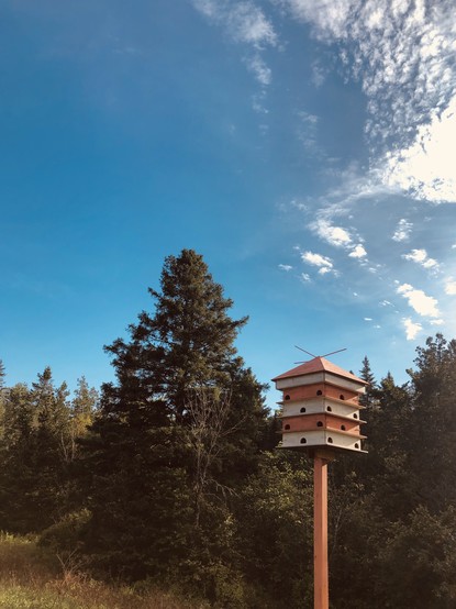 Photograph of a four storey bird house, each level and roof alternating between orange and white, with green trees and bushes just behind, as it is installed at the forest edge, under a very blue sky with white clouds.