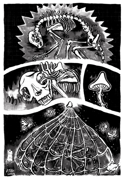 A four panel, single page comic. The panels are organically shaped. White from the imagery bleeds into the white space around the panels, there are no distinct boarders. In the first panel a skeleton of a cat is depicted laying on the ground. A small spiral forming in the cavity of the skeleton’s eye socket. In the second panel the point of view shifts to a closer view of the skull. A mushroom is growing in the eye socket. The third panel comes in close on the mushroom. Some sports can be seen falling from the gills of the fungus. In the fourth and final panel the mushroom shoots upward, growing tall and releasing and veil over the cat skeleton. Insects and other animals collect around the scene, the funeral.