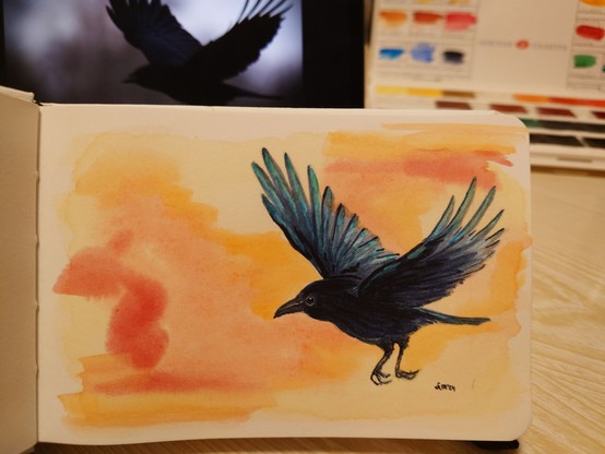 Bild in Wasserfarben: Eine fliegende Krähe mit weit ausgebreiteten Flügeln. 
Im Hintergrund sind die Wasserfarben und die Bildvorlage zu sehen.