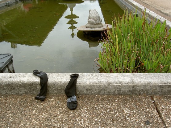 A pair of abandoned socks lying over the edge of a fountain on the grounds of the Chattanooga Choo Choo. Small goldfish can be seen swimming in the water behind them.