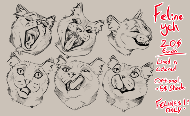 Multiple cat head sketches
Yawning, open wide mouth, happy/smiling, confused/concerned, licking lips looking at viewer, licking lips looking up like looking at a treat
