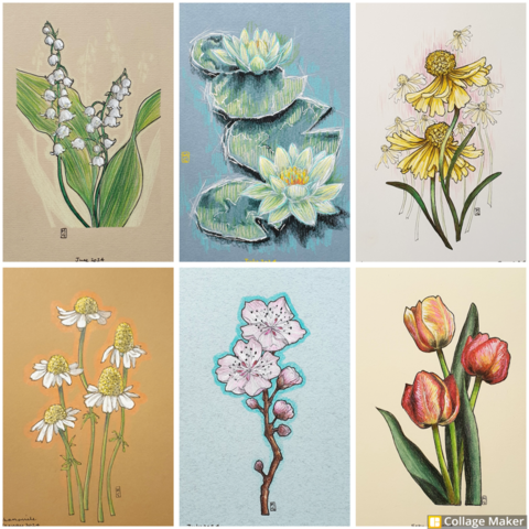 A photo collage of some of my flower art.  Lily of the valley, waterlilies, helenium, chamomile, cherry blossom and tulips. 