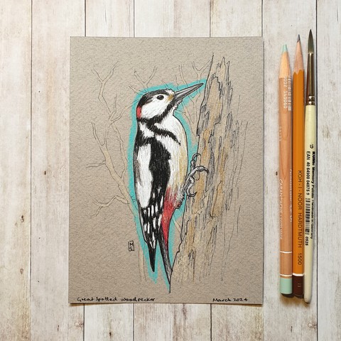 Original drawing - Great Spotted Woodpecker
A drawing of a great spotted woodpecker, a red black and white bird.
Materials: colour pencil, mixed media, acid free mushroom coloured pastel paper
Width: 5 inches
Height: 7 inches