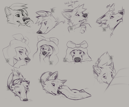 A page full of headshot sketches of canine characters doing various poses / expressions, all snoot focused.
