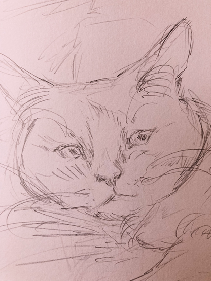 Scribble of my cat Oreo, I miss her very much 