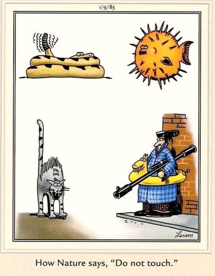 A Far Side comic by Gary Larsen, captioned 