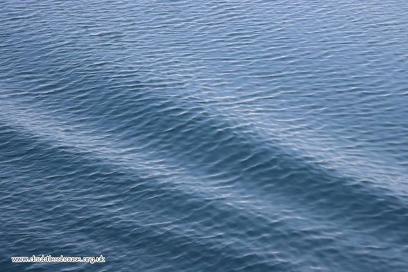 Photo of a calm sea with waves from the wake of a boat