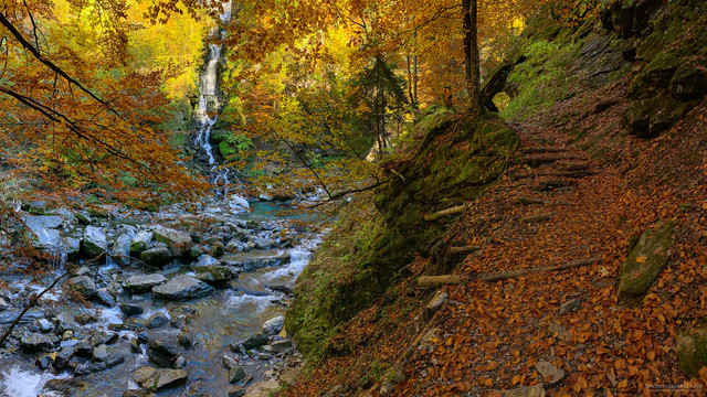 Autumn photograph. On the left is a waterfall through yellow-leafed trees, leading down to a rocky creek. On the right is a leaf-strewn path, leading up a log-stepped incline, and through a round passage carved in the mountainside rock.