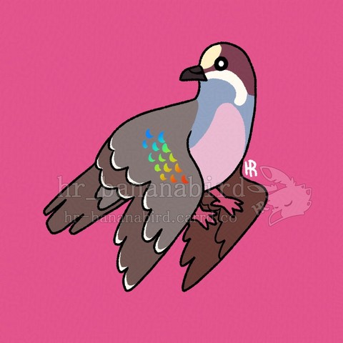 Digital art of a stylized Common Bronzewing bird. It's a pigeon with a white forehead, deep red head and gray body with bronze colored wings that have specks of shiny rainbow feathers. It also has a black beak and pink feet.