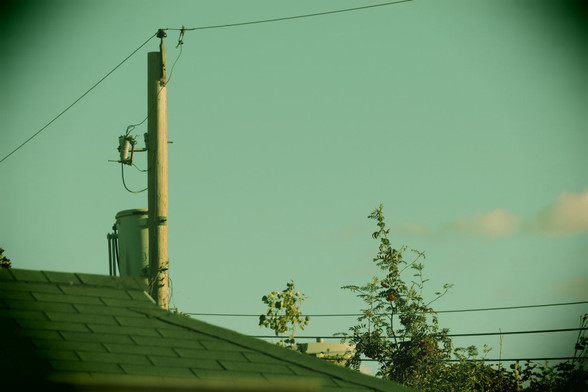 Back corner of a garage roof - in the background in a pole with lines, and tips of several trees.