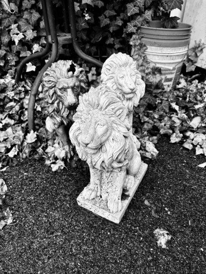 Three old and weathered lawn statues in the shape of lions are positioned under an outdoor table, with leaves and a stack of buckets in the background