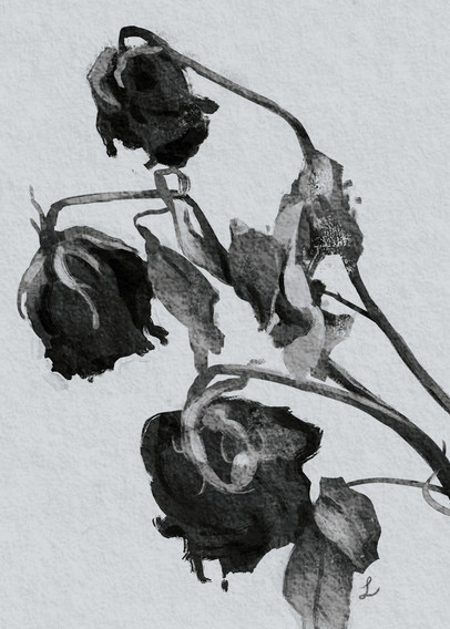 A painting of three withered roses in black and white.