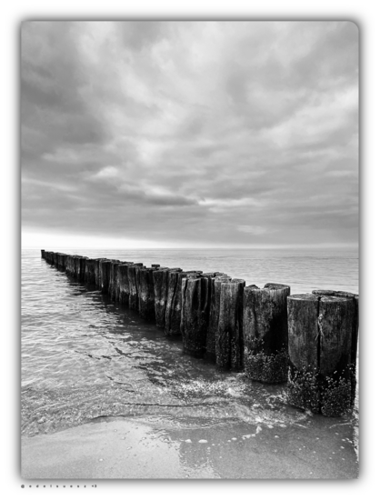 Schwarzweißfotografie: Strand mit einer in die Ostsee installierte Holzbuhnenreihe, als Wellenbrecher / Küstenschutzbauwerk, bestehend aus einzelnen, hier schon stark verwitterten, runden Baumstämmen, ruhige anlandende Ostsee, darüber hellgrauer Himmel 