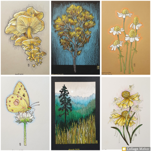 A photo collage of some of my drawings.  A cluster of yellow mushrooms, a golden autumn tree, chamomile flowers, a clouded yellow butterfly, a landscape with a lone tree,  Hellenium flowers. 