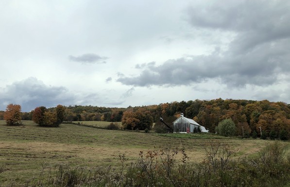 Rural landscape photograph of a grey and white barn with a red door, with a green, brown and yellow harvested field in front, and trees with colourful leaves all around and behind on a small hill. Brown wildflowers can be seen at the bottom of the picture and a grey sky with grey clouds at the top.