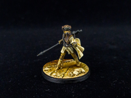 Painted Leia bounty hunter mini from Fearless & Inventive squad pack for Star Wars Shatterpoint.