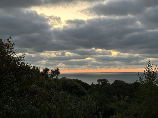 Horizon with clouds, an orange glow and silhouette of trees