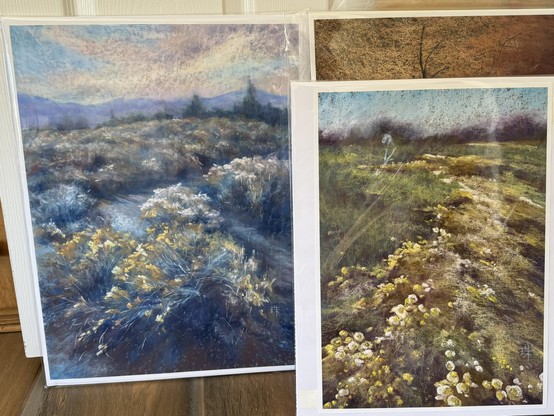 Two reproduction prints of my pastel landscape paintings, in clear cello bags. 