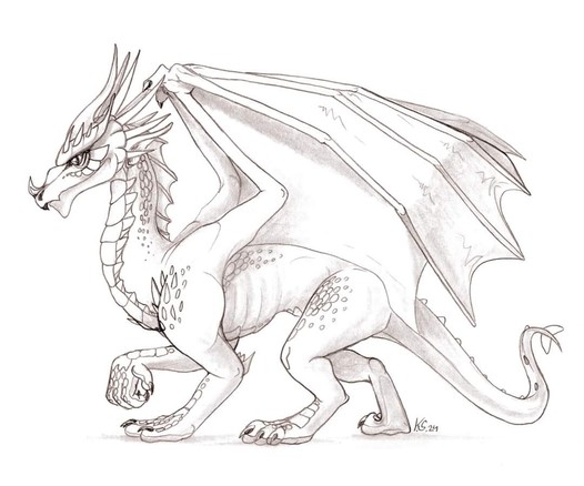 A pencil drawing showing a Western Dragon with lots of horns, thorns, scales and big wings, facing to the left.