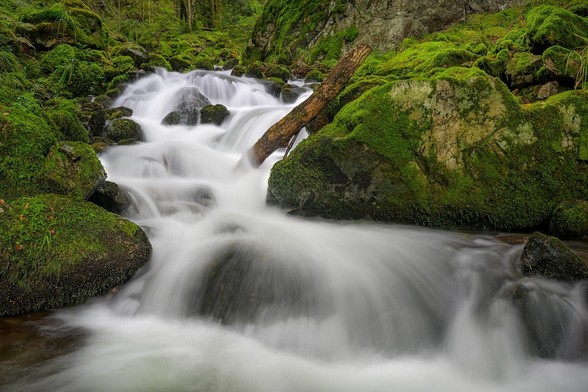 The image shows a waterall with huge mossy rocks in the woodland