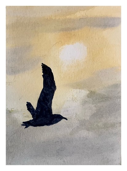 Painting of a seagull silhouetted by a hazy sky.