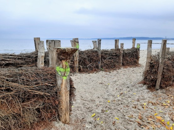 Totholzzaun zum Küstenschutz, weißer Sand, am Horizont das Meer.