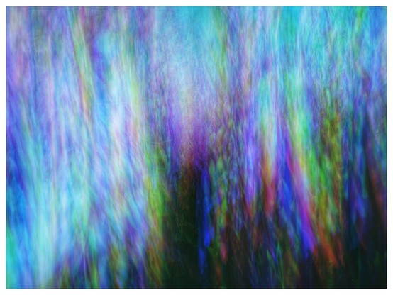 A dark streaky multicoloured abstract with shades of blue, purple and green. This is a digital trichrome made up of three images from inside a corn field, but this time I introduced a little Intentional Camera Movement (ICM) into the mix. Of course there was no way that I could line this up in post, so I didn't even try, but I really like how this came out.