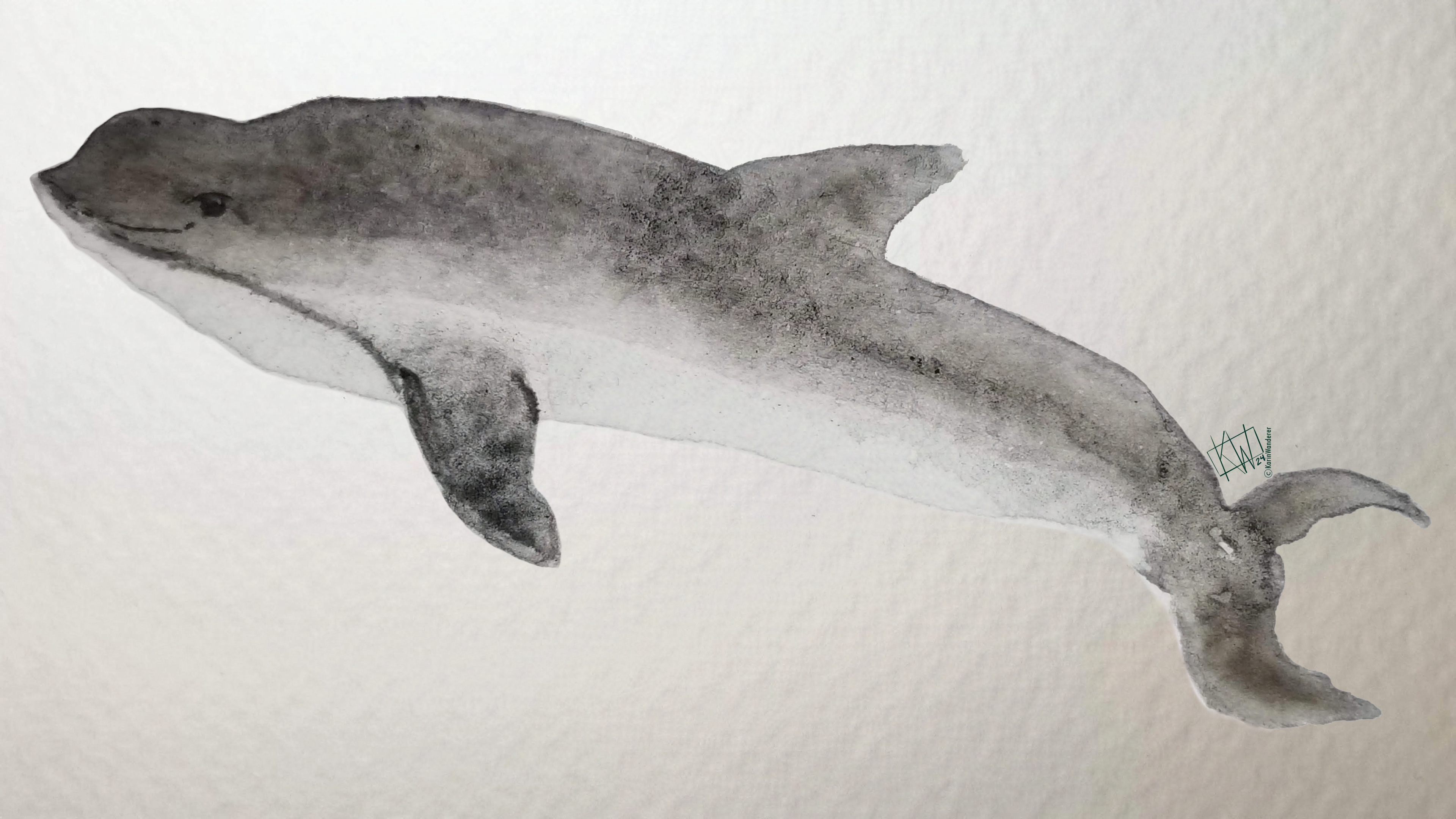 Watercolor porpoise swimming happily.