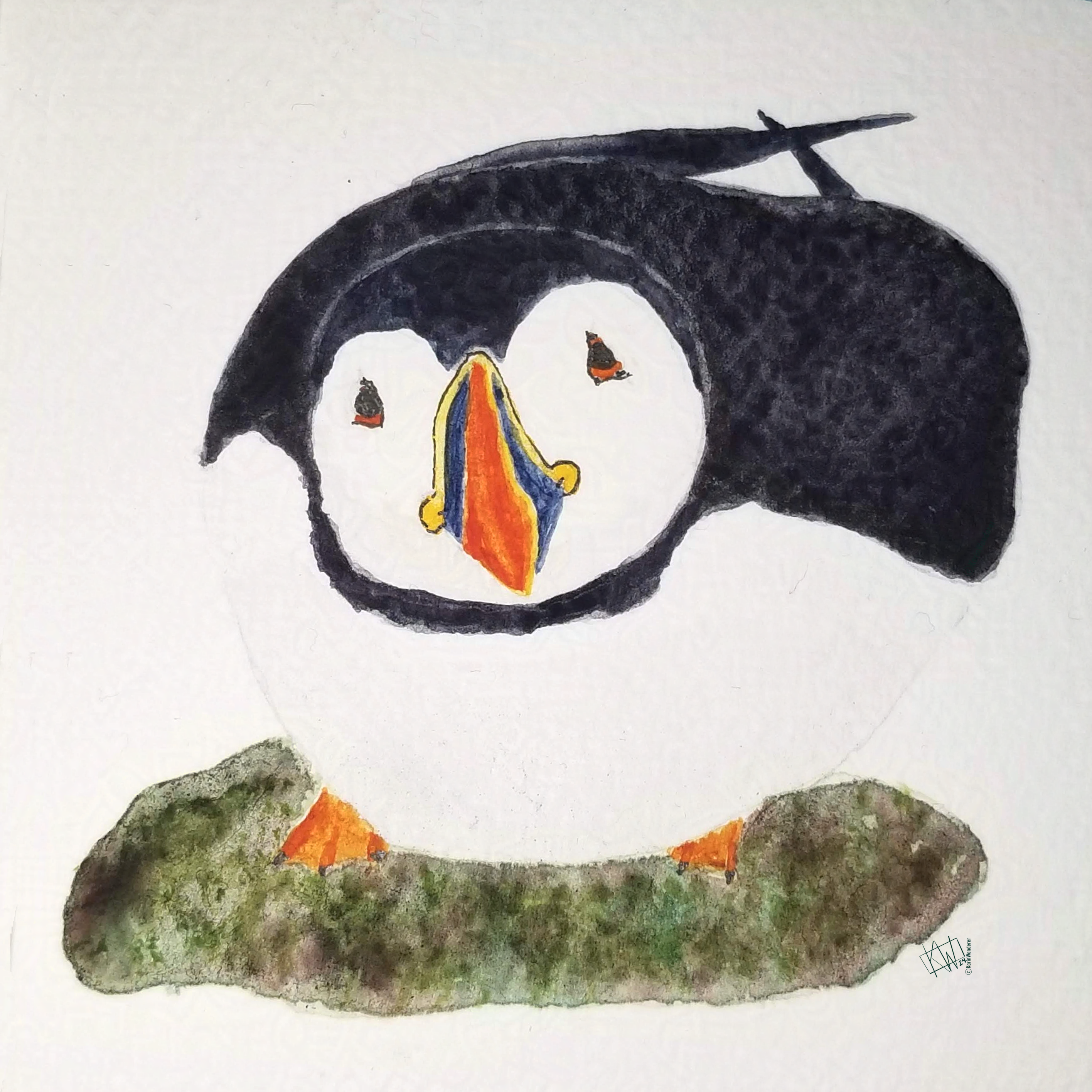 Watercolor puffin sits happily on the ground, enjoying the day.