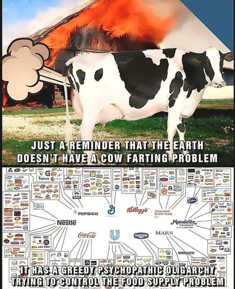 Posted media
