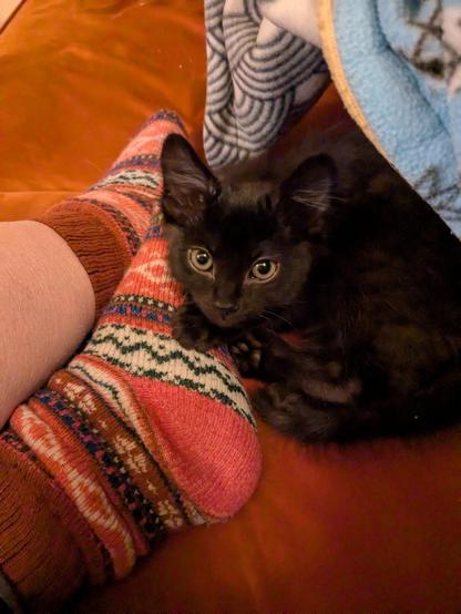 Posted media