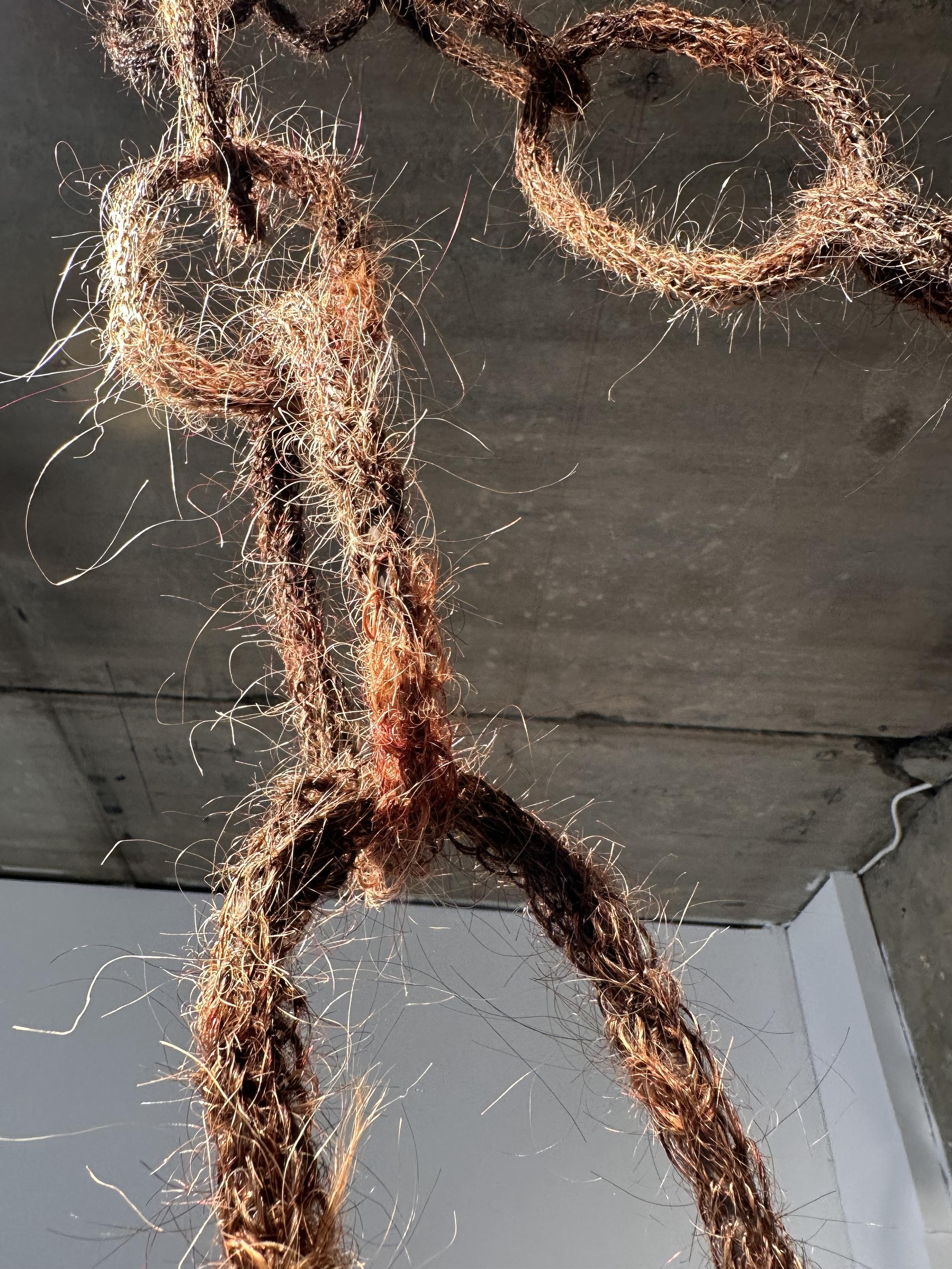 Entangled, 2025