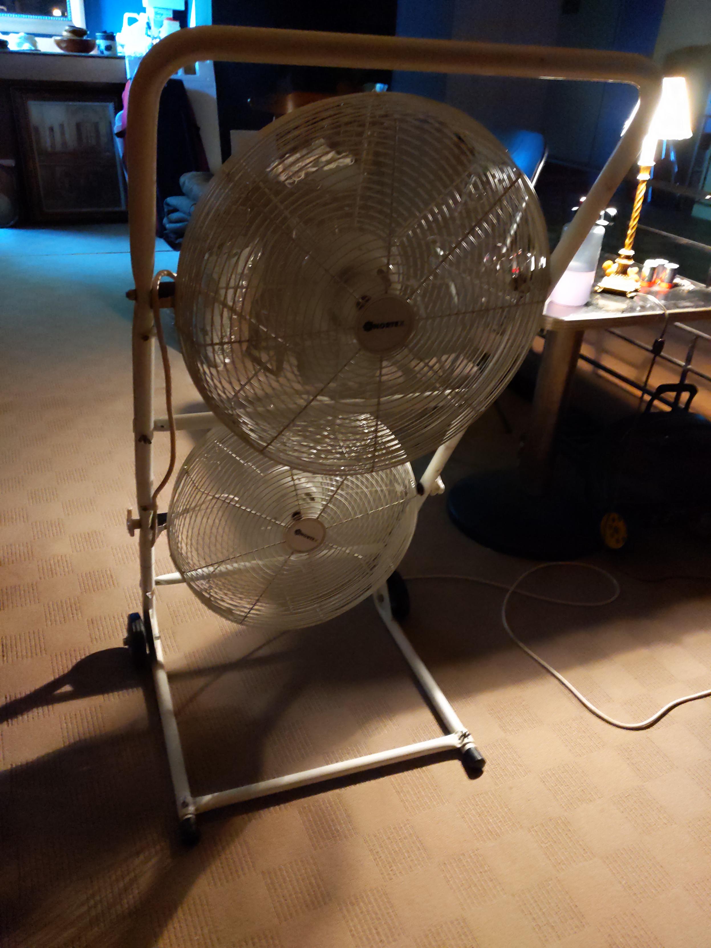 A large, as yet unnamed, fan.