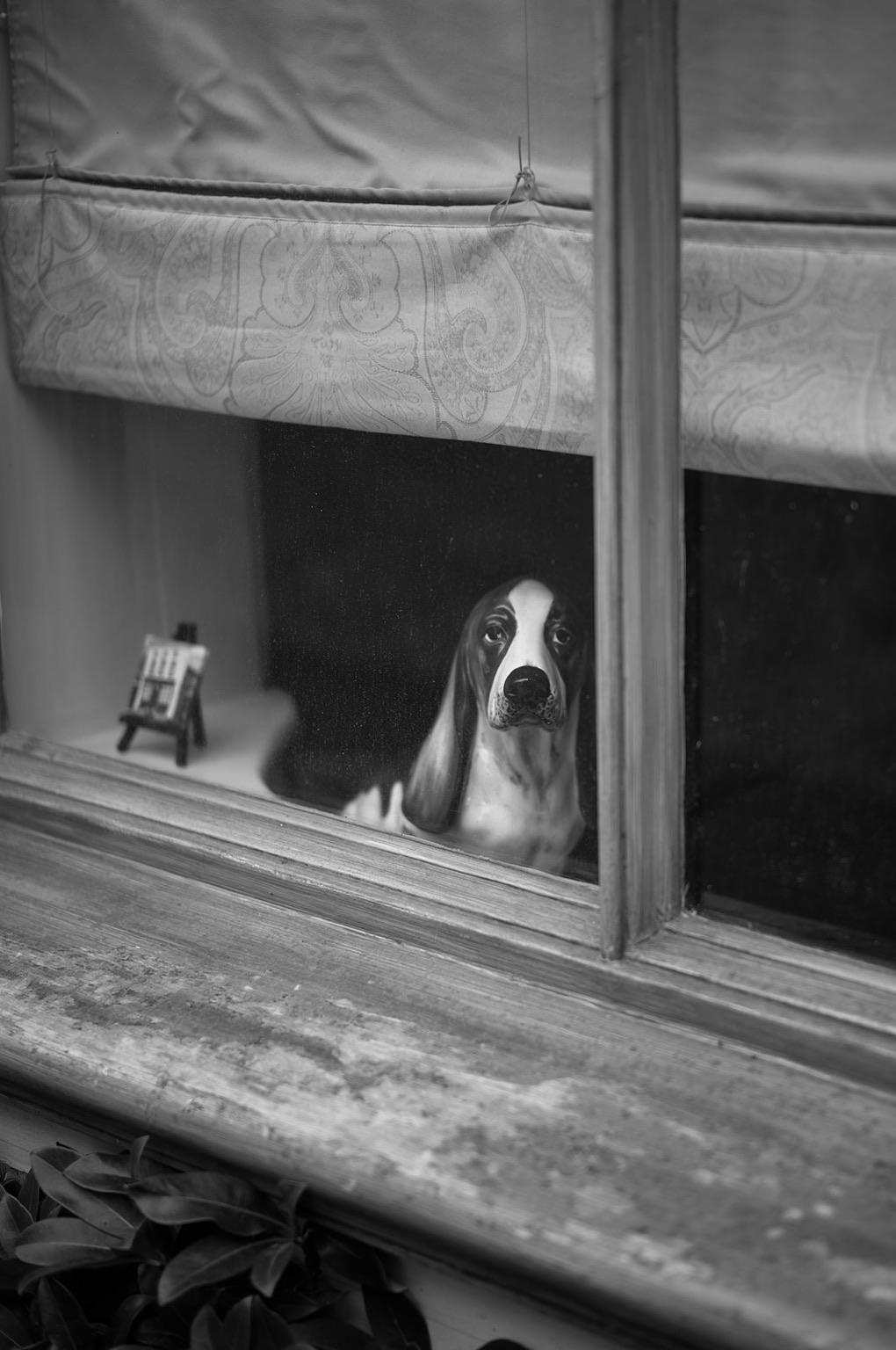 A statue of a dog looking out from behind a window. The window features a patterned curtain and a small easel nearby. The scene conveys a sense of longing or curiosity. A statue of a dog looking out from behind a window. The window features a patterned curtain and a small easel nearby. The scene conveys a sense of longing or curiosity.