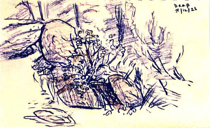 Rough sketch in color pencil of a shrub growing among rocks, with conifers in the background. Signed "Deep" and dated August 12, 2025.