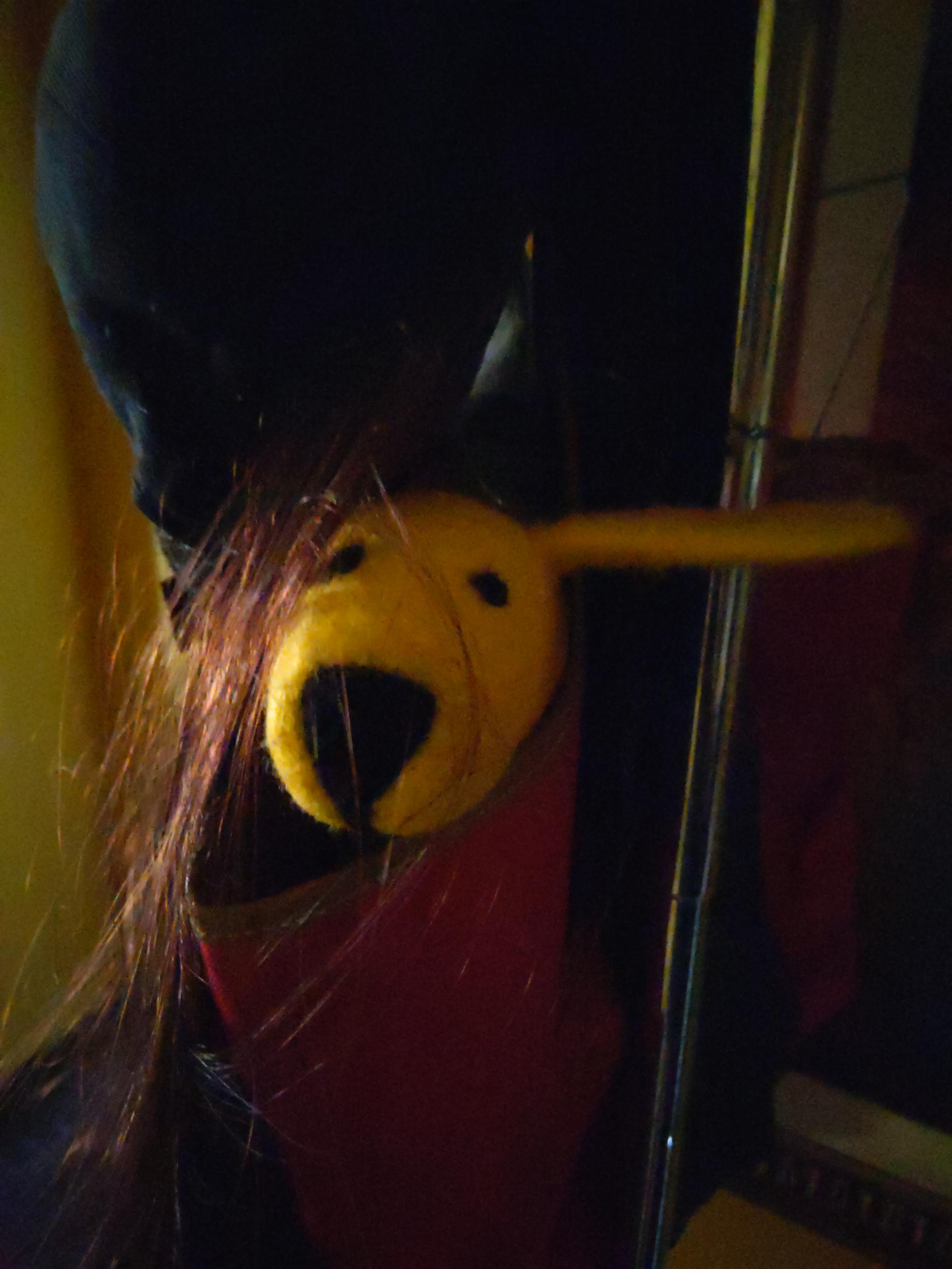 A colorful felted dog hiding in a tote bag under a wig.