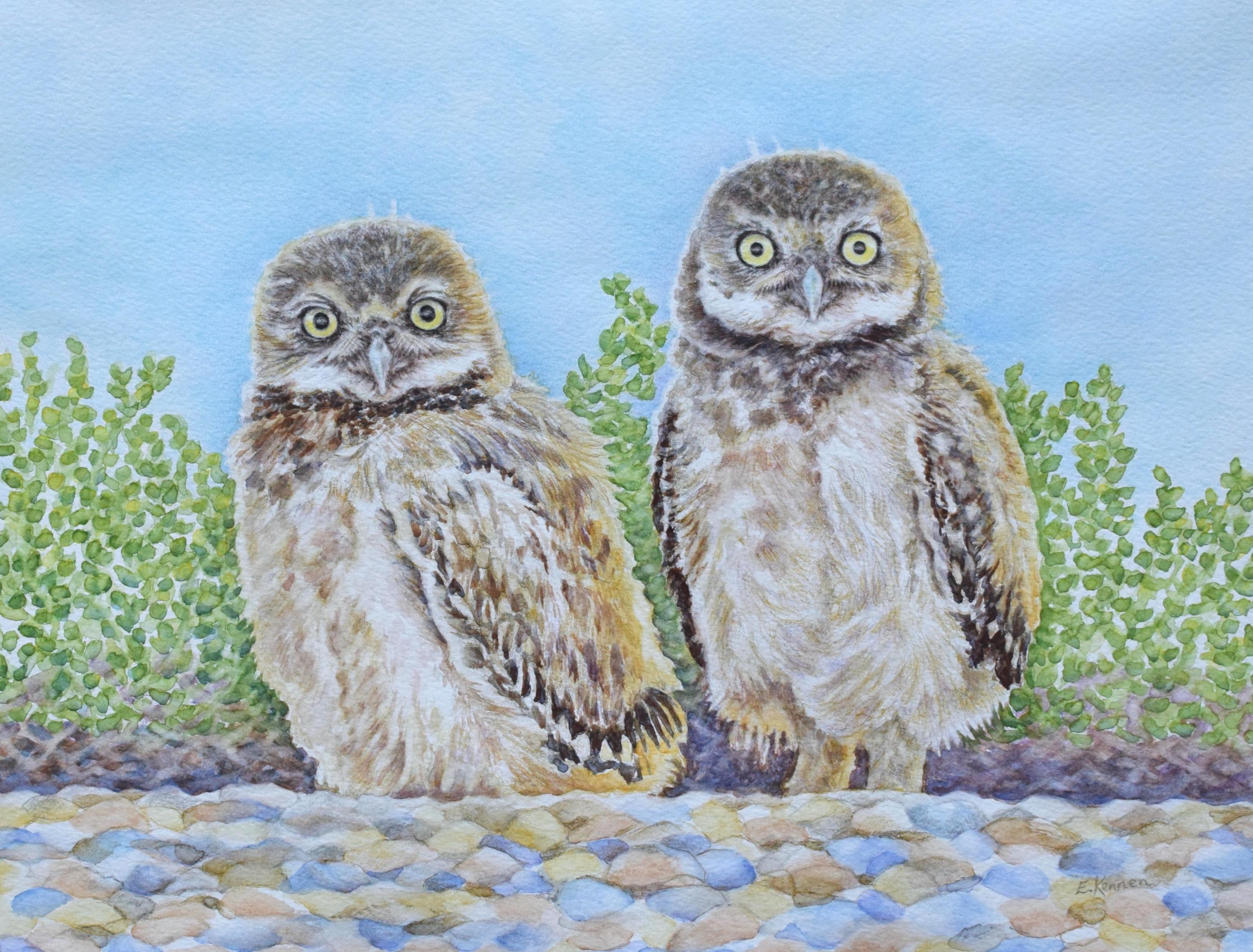 Watercolor painting of two burrowing owlets with rocks, plants, and blue sky.