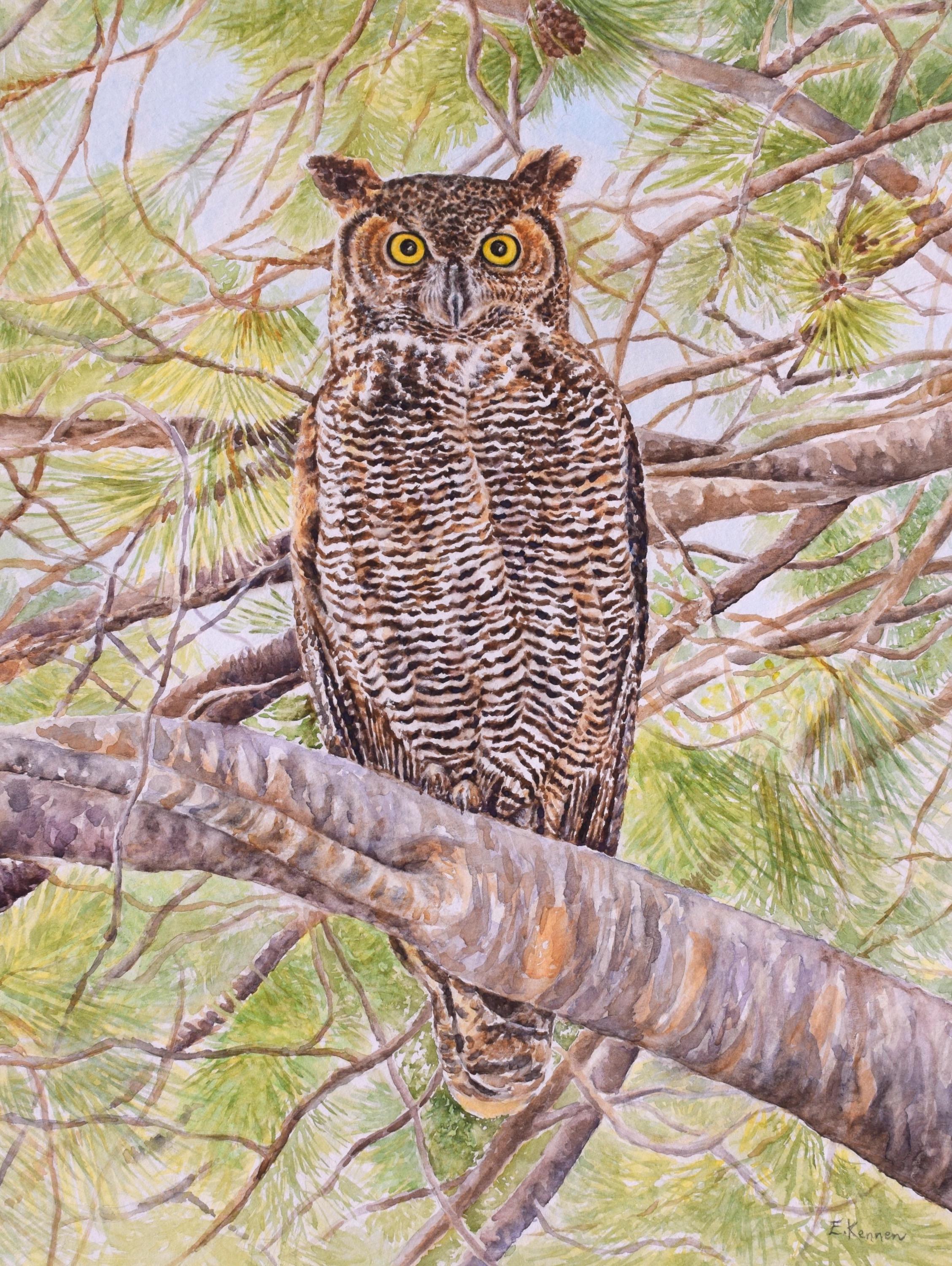 Watercolor painting of a great horned owl on a branch, with more branches and pine needles all around.