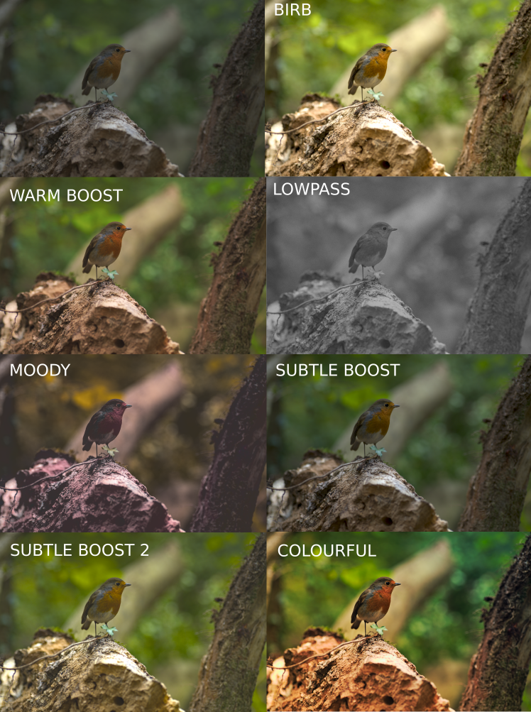 A photograph of a robin, with the untouched RAW in the top left corner, and then seven different styles applied, each changing the colour, levels, contrast, etc. of the photograph.