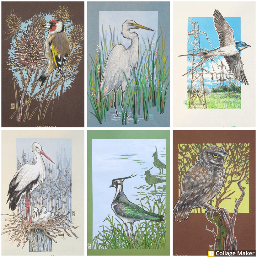 A photo collage of some of my bird artworks:
A goldfinch on some dried teasels, a  great white egret, a swallow in flight, a white stork, a northern lapwing and a little owl.