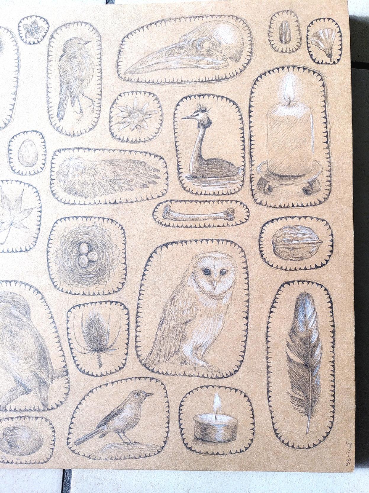 Gros plan sur le dessin où l'on peut voir une fleur de myosotis, un rouge-gorge mort, un crâne de corvidé, une graine de tournesol, une fleur de liseron, une fleur d'edelweiss, une grebe huppée, une bougie, un oeuf, une aile, un os, un nid avec trois oeufs, une noix, une cardère, une chouette effraie, une plume.