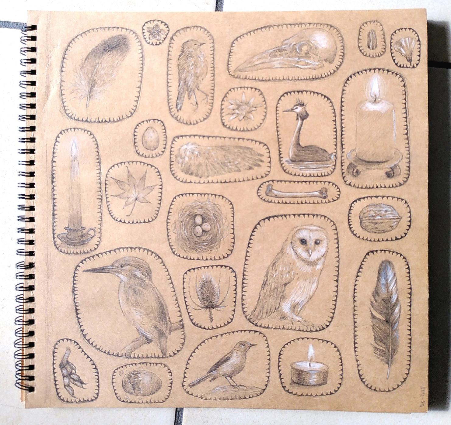 Dessin format carré réalisé sur du papier type kraft. On peut voir un assemblage d'images, toutes cerclées par un cadre à pointes. Les dessins sont réalisés au critérium avec des réhauts de blancs. On y voit par exemple des plumes, des bougies, des oiseaux, des os, des oeufs, un crâne d'oiseau....