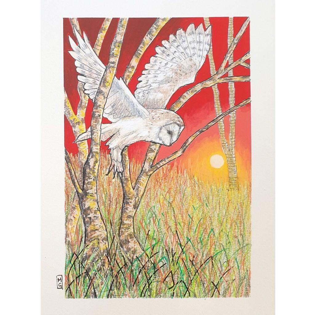 A small colour drawing of a barn owl at sunset, flying through trees, the drawing depicts the owl, grassland and trees with a red sunset sky. The drawing is on white pastel paper.
Barn Owls have some extraordinary adaptations to help them hunt at night, such as silent flight, sensitive hearing and the ability to spot movement in very low light.
An original art work, please note that the frame is not included.
Colour pencil and mixed media on acid free toned artist paper
5 by 7 inches (12.7 by 17.8 cm).