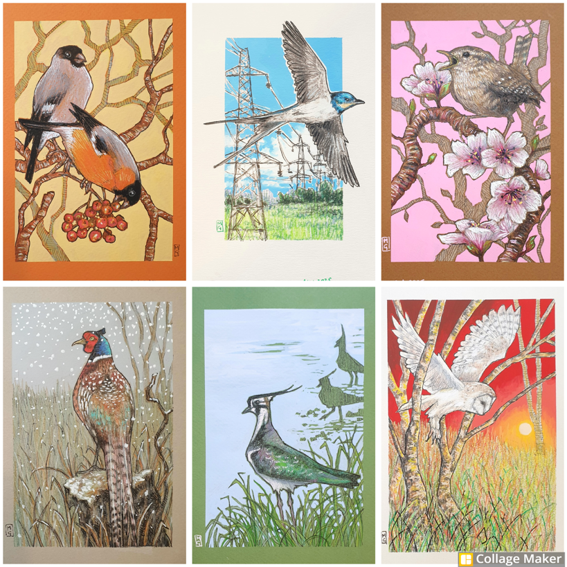 A photo collage of some of my available bird artwork:
All drawings are 5x7"
Bullfinches with rowan berries, a swallow in flight, a wren on a cherry branch with blossom, A pheasant in a winter landscape, a northern Lapwing and a barn owl in flight.