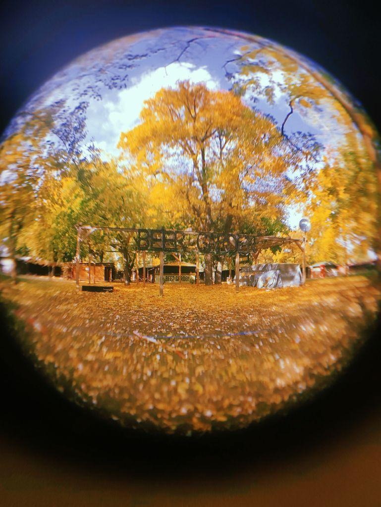 A very autumnal view of fallen leaves and tall yellow trees, with large letters saying "beer garden". The photo is taken with fish eye lens, making the scene look dream-like.