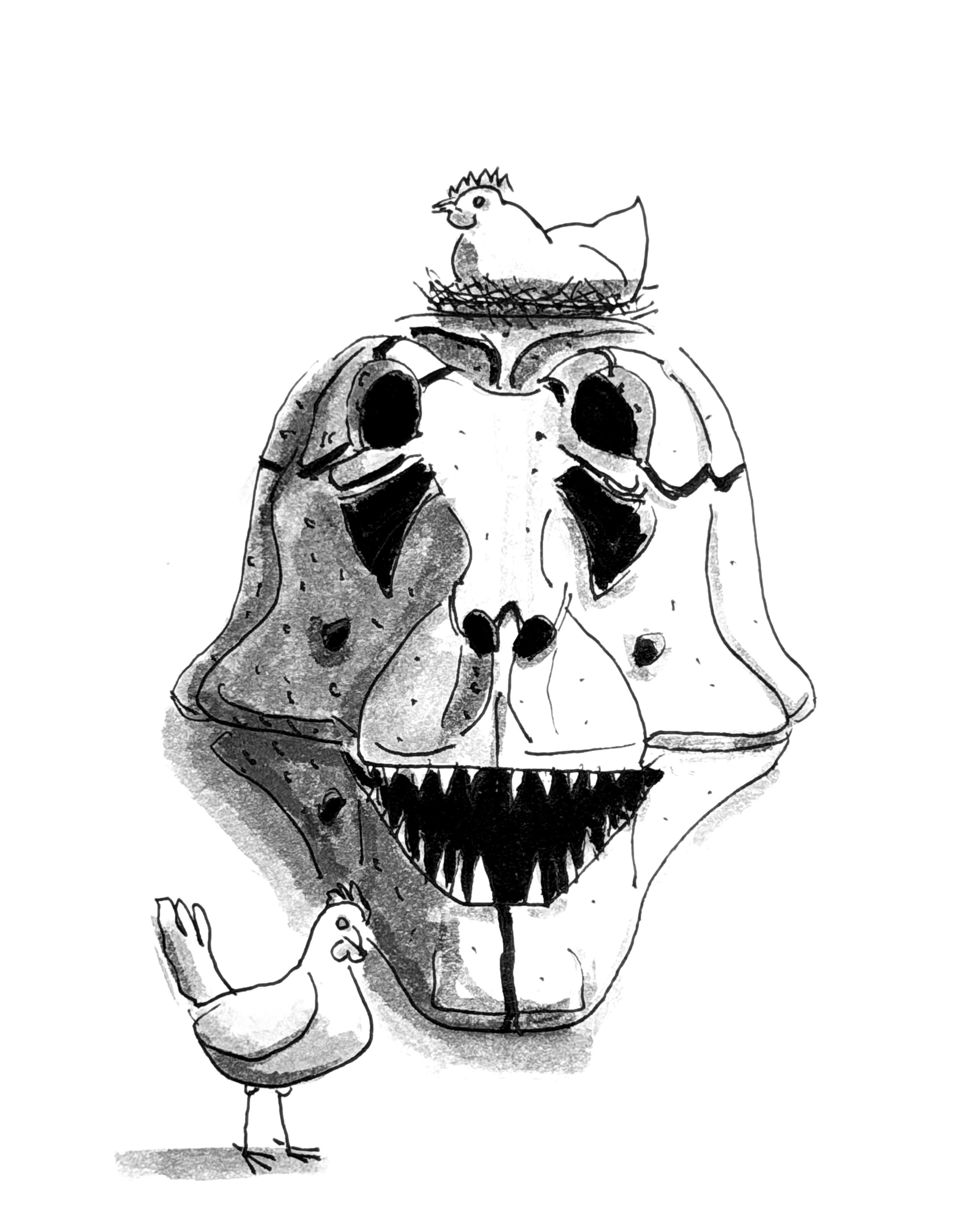 Ink sketch of a T. Rex skull and chickens for the Inktober 2025 prompt “Skeletal”.