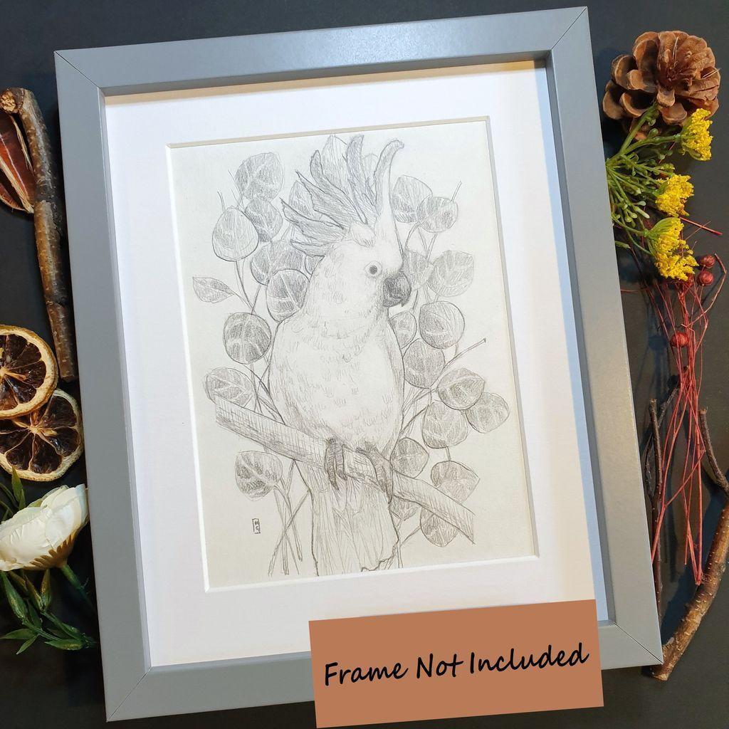 A pencil drawing of a cockatoo bird with eucalyptus branches in the background. Cockatoos are among the most well-known and loved members of the parrot family. They are found in Australia and the smaller island countries to the north and west, and they live in forested areas of all types, from eucalyptus groves to pine forests and rainforests.
An original art work, please note that the frame is not included.
Graphite pencil on acid free white artist paper
Size A5 (21cm x 14.5cm)