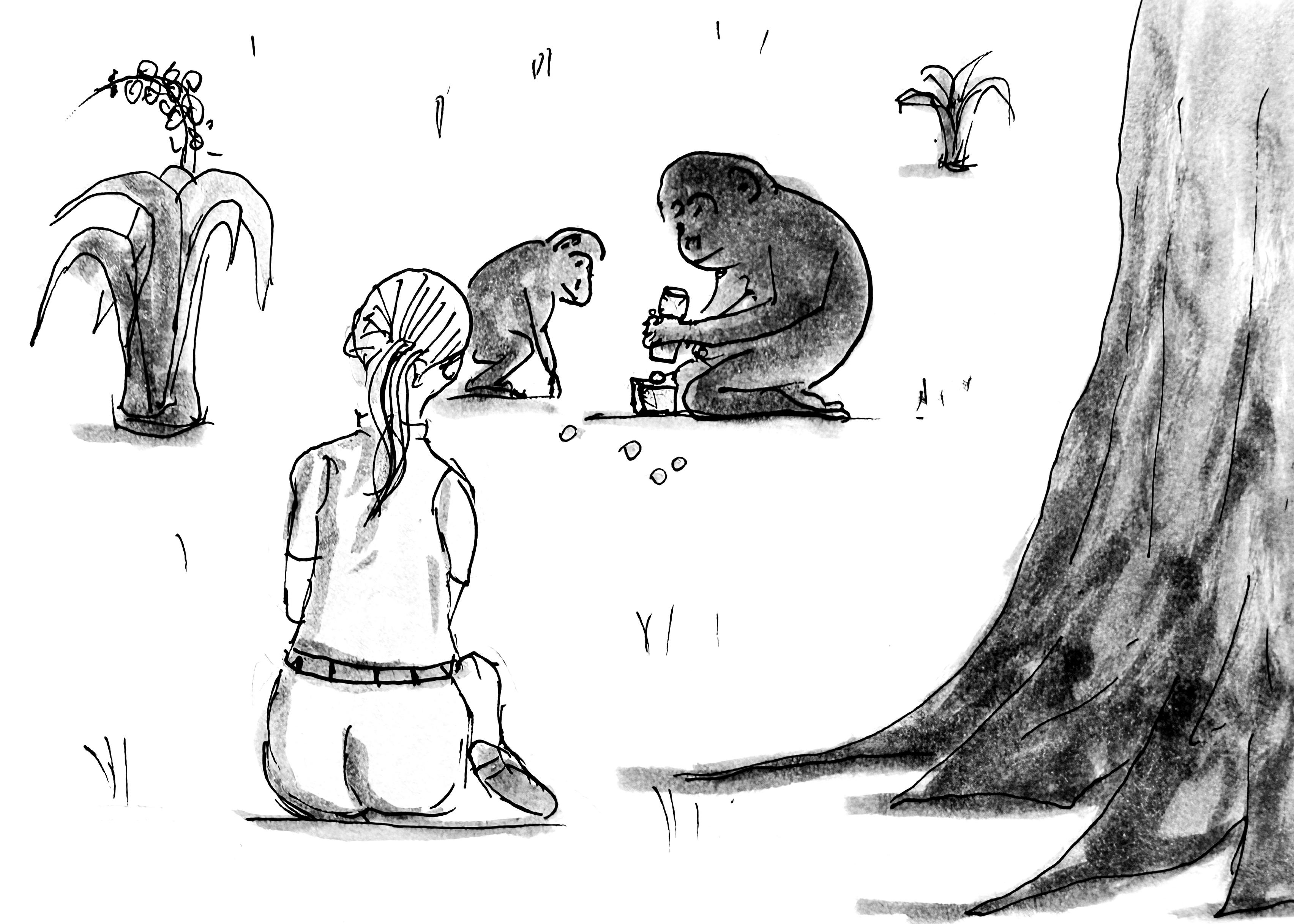 Ink sketch of a woman observing a chimpanzee mother teaching her child how to crack nuts for the Inktober 2025 prompt “Lesson”.